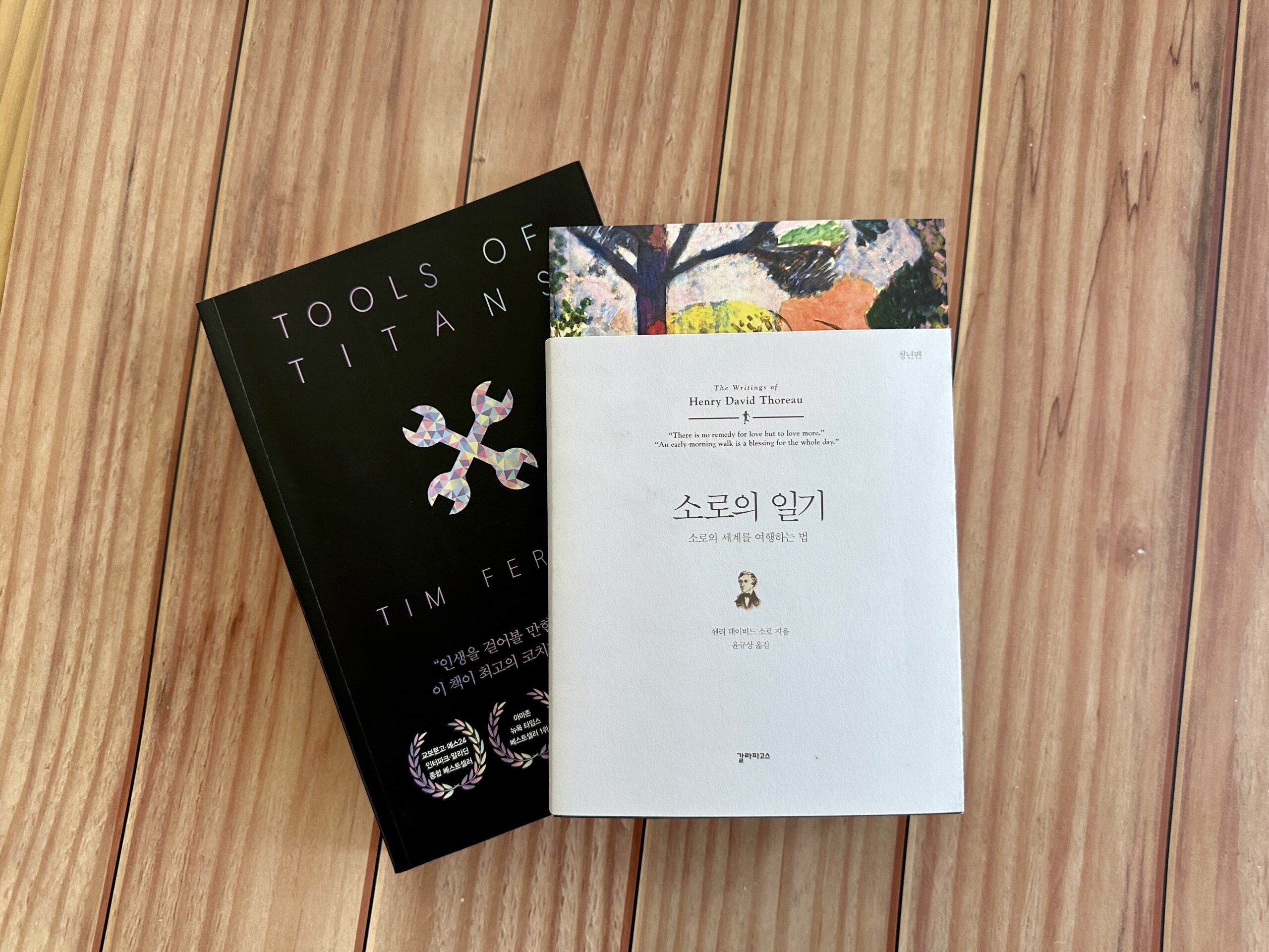 『진리의 발견』의 작가 마리아 포포바가 용기를 얻어온 소로의 일기