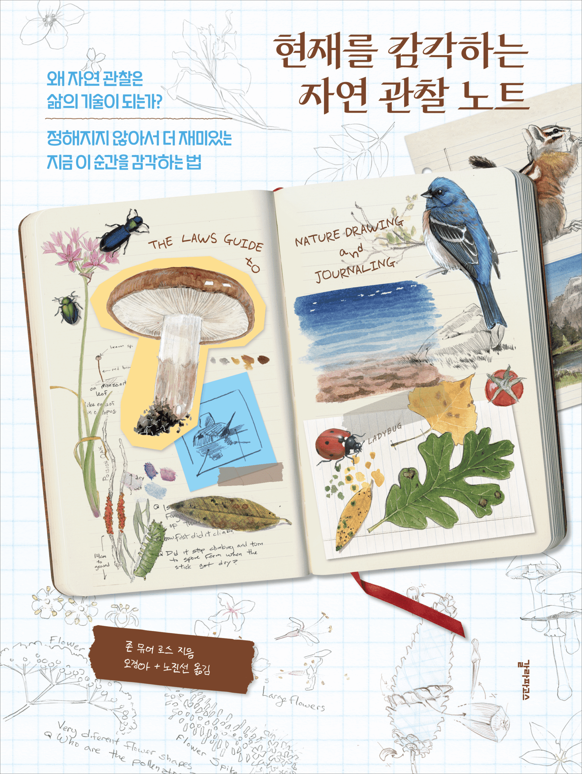 현재를 감각하는 자연 관찰 노트