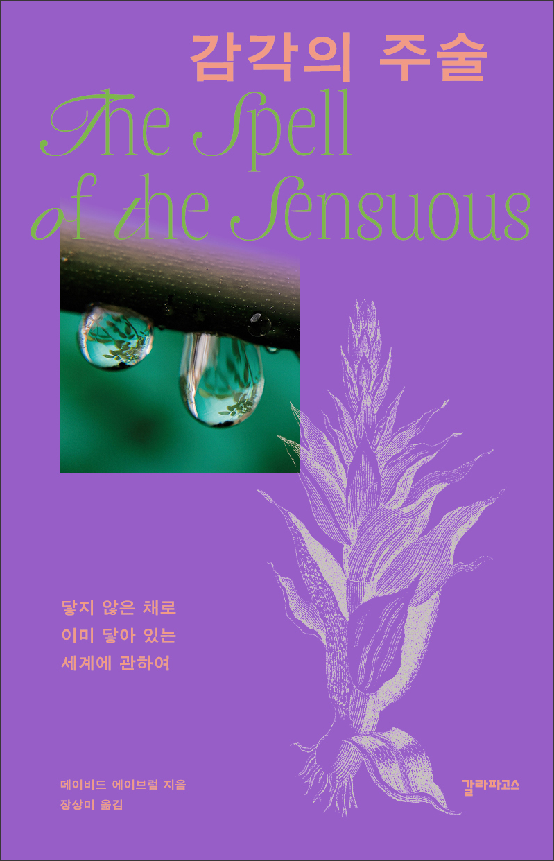 감각의 주술